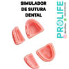 A- SIMULADOR DE SUTURA MODELO DENTAL